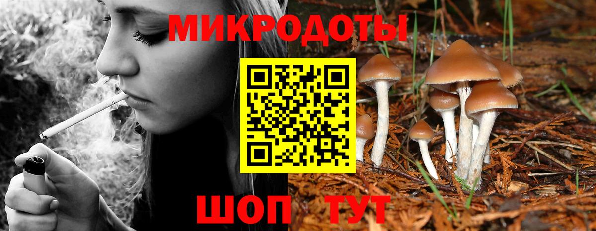 Псилоцибиновые грибы ЛСД  Галлюциногенные грибы Magic Shrooms  Зерноград  Вход с VPN 